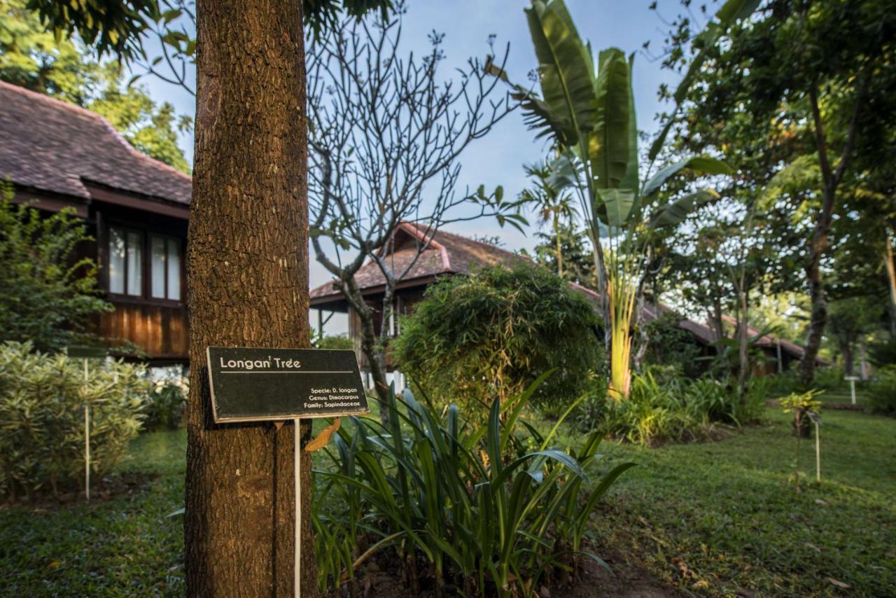 La Folie Lodge Champasak Exterior foto